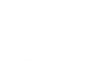 Lapapro S.A. de C.V.